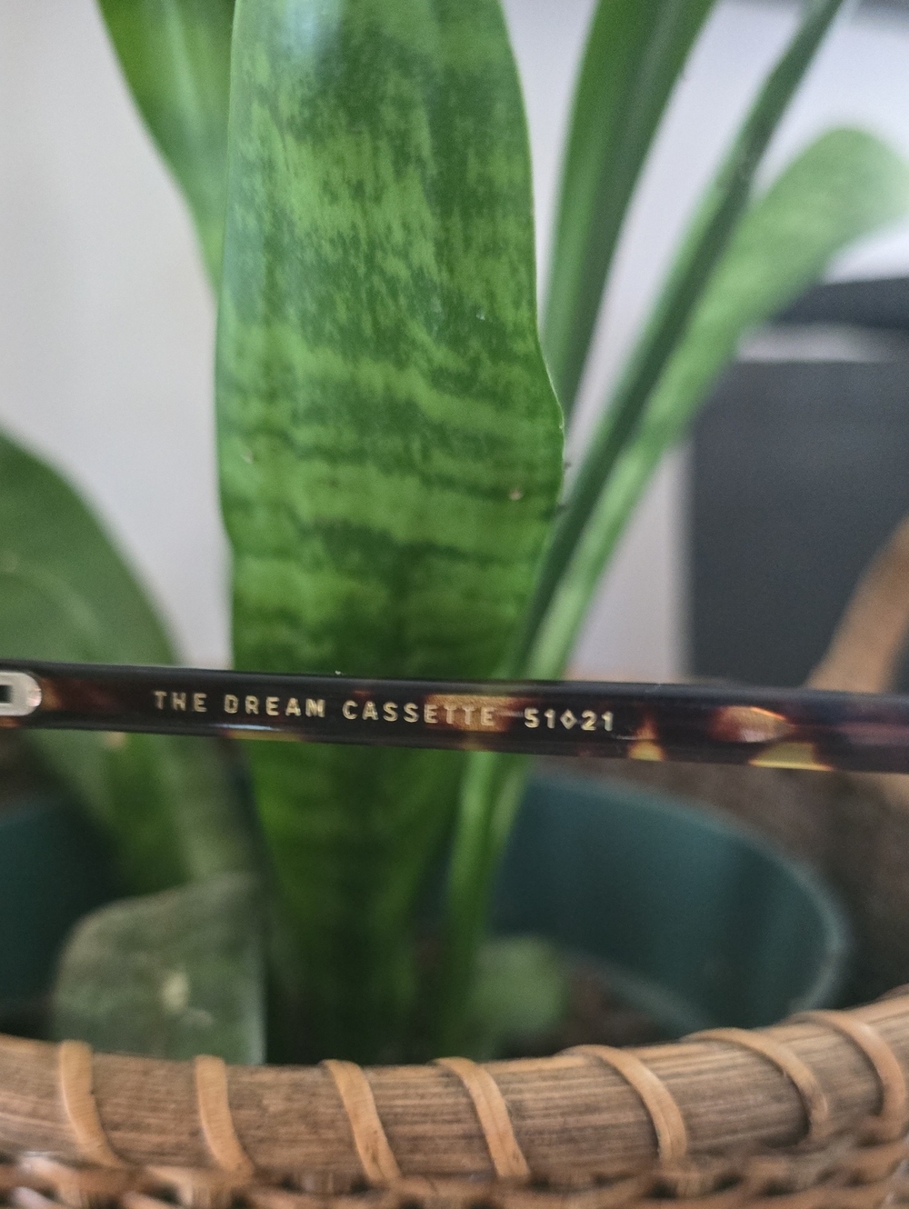 Crap eyeware - The Dream CASSETTE - Picture 2 of 6